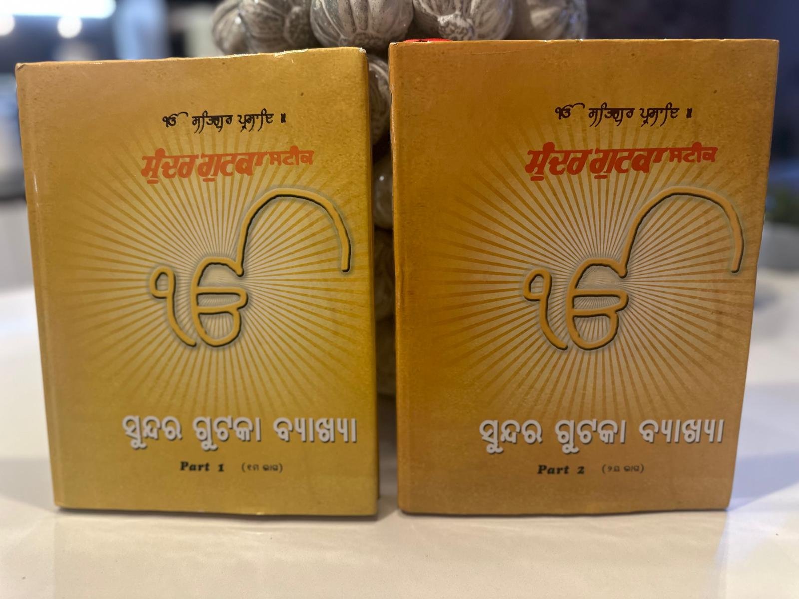 A pair of Punjabi readers standing together